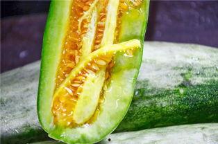 网红吃瓜网站推荐,带你领略娱乐圈风云变幻