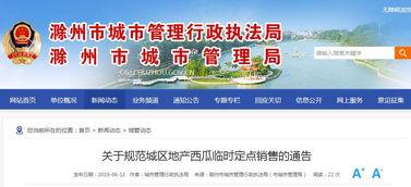 定州市吃瓜网招聘网,汇聚人才，助力城市发展