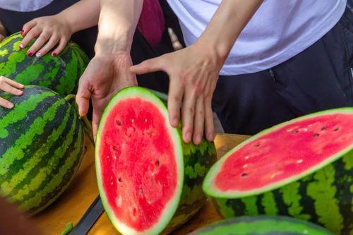 吃瓜高校网红,吃瓜群众眼中的校园风云