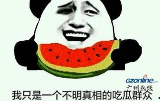 不明真相的吃瓜网